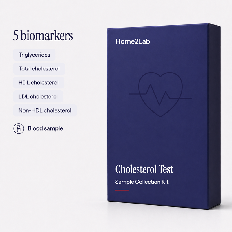 Cholesterol numbers, decoded: what each line means