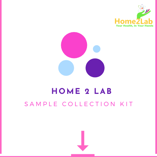 Home Test Sample Collection Helicobacter Stool Antigen Test – Home2Lab